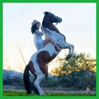 Thumbnail for the Renata - Desaires link, provided by host site
