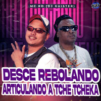 Thumbnail for the Mc Rd - DESCE REBOLANDO ARTICULANDO A TCHE TCHEKA link, provided by host site