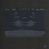 Thumbnail for the Yellow Swans - Descension Yellow Swans link, provided by host site