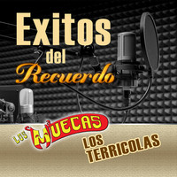 Thumbnail for the Los Terricolas - Desden link, provided by host site