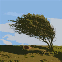 Thumbnail for the White Noise for Studying - Desert Gush of Winds link, provided by host site