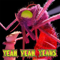 Thumbnail for the Yeah Yeah Yeahs - Despair link, provided by host site