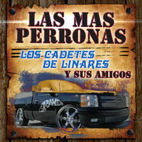 Thumbnail for the Los Cadetes de Linares - Despedida con Mariachi link, provided by host site