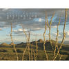 Thumbnail for the Steve Roach - Destination Beyond link, provided by host site
