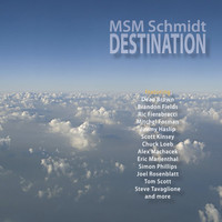 Thumbnail for the MSM Schmidt - Destination link, provided by host site