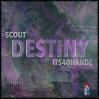 Thumbnail for the SCOUT - Destiny link, provided by host site