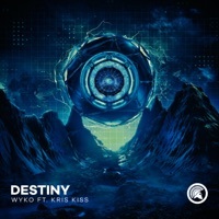Thumbnail for the Wyko - Destiny link, provided by host site