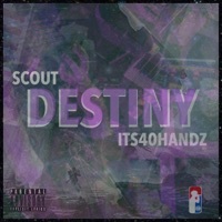 Thumbnail for the SCOUT - Destiny link, provided by host site