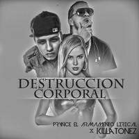Thumbnail for the Prynce El Armamento Lirical - Destruccion Corporal link, provided by host site