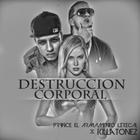 Thumbnail for the Prynce El Armamento Lirical - Destruccion Corporal link, provided by host site