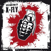 Thumbnail for the X-Fly - Destruction link, provided by host site