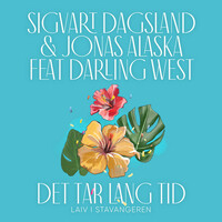 Thumbnail for the Sigvart Dagsland - Det Tar Lang Tid link, provided by host site
