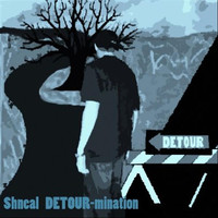 Thumbnail for the Shneal - Detour-mination link, provided by host site