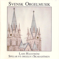 Thumbnail for the Torsten Nilsson - Deuteroskopi op.46 link, provided by host site
