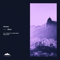 Thumbnail for the Wassu - Devi (Erdi Irmak Remix) link, provided by host site