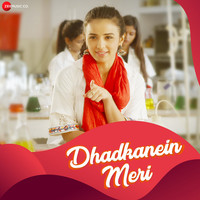 Thumbnail for the Yasser Desai - Dhadkanein Meri link, provided by host site
