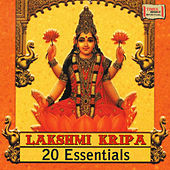 Thumbnail for the Sanjeev Abhyankar - Dhun link, provided by host site
