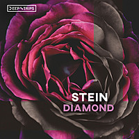 Thumbnail for the Stein - Diamond link, provided by host site