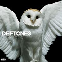 Thumbnail for the Deftones - Diamond Eyes link, provided by host site
