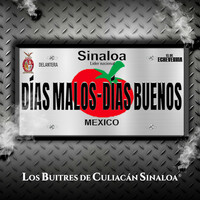 Thumbnail for the Los Buitres de Culiacan Sinaloa - Días Malos, Días Buenos link, provided by host site