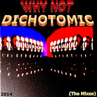 Thumbnail for the Why Not - Dichotomic (The Mixes) link, provided by host site