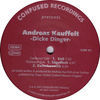 Thumbnail for the Andreas Kauffelt - Dicke Dinger link, provided by host site