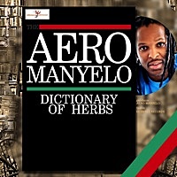 Image of Aero Manyelo linking to their artist page due to link from them being at the top of the main table on this page