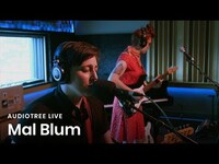 Thumbnail for the Mal Blum - Did You Get What You Wanted | Audiotree Live link, provided by host site