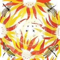 Thumbnail for the Alabaster DePlume - Did You Know link, provided by host site
