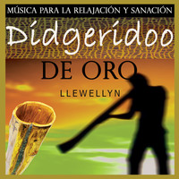 Thumbnail for the Llewellyn - Didgeridoo de Oro: Música para la Relajación y Sanación link, provided by host site