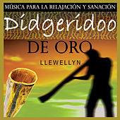 Thumbnail for the Llewellyn - Didgeridoo de Oro: Música para la Relajación y Sanación link, provided by host site