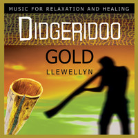 Thumbnail for the Llewellyn - Didgeridoo Gold: Music for Relaxation and Healing link, provided by host site