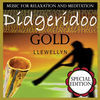 Thumbnail for the Llewellyn - Didgeridoo Gold: Music for Relaxation and Meditation: Special Edition link, provided by host site