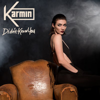 Thumbnail for the Karmin - Didn't Know You link, provided by host site