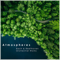 Thumbnail for the Ludwig van Beethoven - Die Geschöpfe des Prometheus, Op. 43: Introduction "La Tempesta". Allegro non troppo link, provided by host site