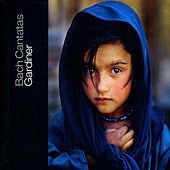 Thumbnail for the Stephen Varcoe - Die Himmel erzahlen die Ehre Gottes, BWV 76 - Recitative: So lasst sich Gott nicht unbezeuget! (Tenor) link, provided by host site
