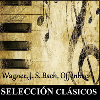 Thumbnail for the Richard Wagner - Die Walküre, WWV 86B, Act III Scene 3: "Du zeugtest ein edles geschlecht" link, provided by host site
