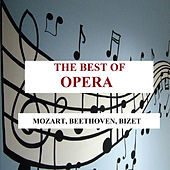 Thumbnail for the Alexander Podolkhov - Die Zauberflöte, K. 620: "Papageno's aria" link, provided by host site