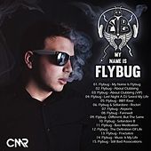 Thumbnail for the Flybug - Different, But The Same (Original Mix) link, provided by host site