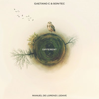 Thumbnail for the Gaetano C - Different link, provided by host site