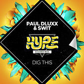 Thumbnail for the Paul Dluxx - Dig This link, provided by host site