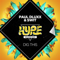 Thumbnail for the Paul Dluxx - Dig This link, provided by host site