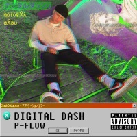 Thumbnail for the P-Flow - Digital Dash link, provided by host site