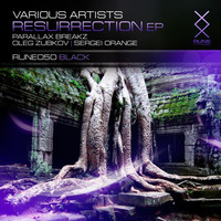 Thumbnail for the Sergei Orange - Dignity - Original Mix link, provided by host site