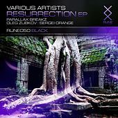 Thumbnail for the Sergei Orange - Dignity (Original Mix) link, provided by host site