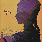 Thumbnail for the Bardo Pond - Dilate link, provided by host site