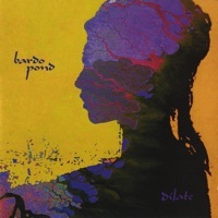 Thumbnail for the Bardo Pond - Dilate link, provided by host site