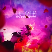 Thumbnail for the Money Mike - DIME link, provided by host site