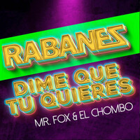 Thumbnail for the Los Rabanes - Dime Que Tu Quieres link, provided by host site