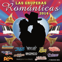 Thumbnail for the Los Temerarios - Dímelo link, provided by host site
